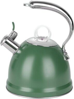 2.5 Qt Stainless Steel Whistling Tea Kettle for Gas, Electric Induction Green